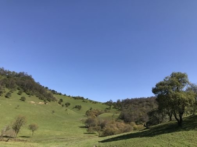 "此后的景色依旧美好，在车里大家得到一个共识:早闻其名，却相见恨晚_陇县"的评论图片