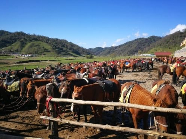 "此后的景色依旧美好，在车里大家得到一个共识:早闻其名，却相见恨晚_陇县"的评论图片